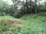 resize6560.jpg