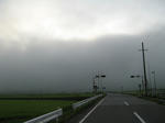 resize6538.jpg
