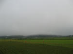 resize6569.jpg