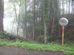 resize6575.jpg