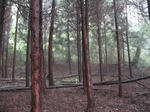 resize6589.jpg