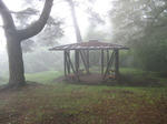 resize6611.jpg