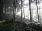 resize6653.jpg
