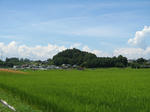 resize6840.jpg