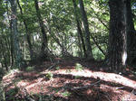 resize6760.jpg