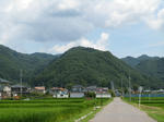 resize6839.jpg