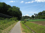 resize6842.jpg