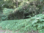 resize6844.jpg