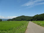 resize6984.jpg