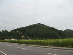 resize6986.jpg