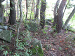 resize7000.jpg