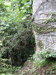 resize7002.jpg