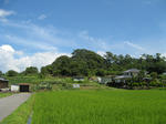 resize6783.jpg