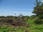 resize6786.jpg