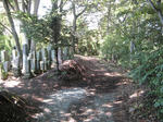 resize6792.jpg