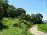 resize6796.jpg