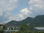 resize6830.jpg