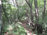 resize6861.jpg