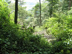 resize6869.jpg