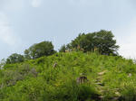 resize6881.jpg