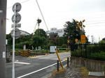 resize7403.jpg