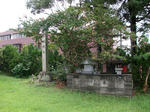 resize7408.jpg