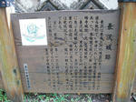 resize7450.jpg