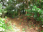 resize7464.jpg