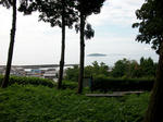 resize7538.jpg
