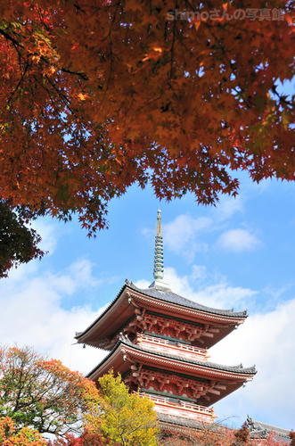 清水寺の紅葉01
