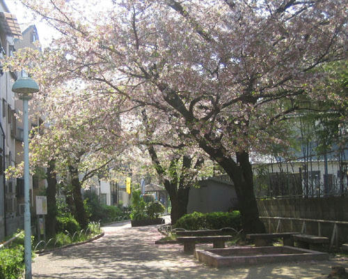 b09041001.jpg