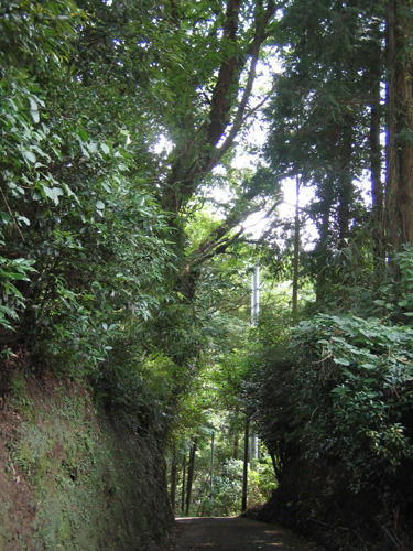 b10081804.jpg