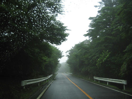 b10081807.jpg