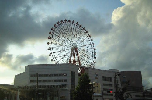 b10081811.jpg