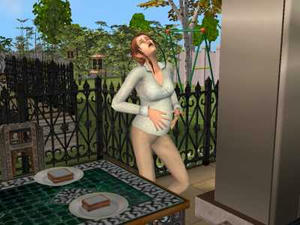 snapshot_d2eb986c_b2ee03e7.jpg