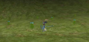 20080422g.jpg