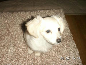 PICT0061.jpg