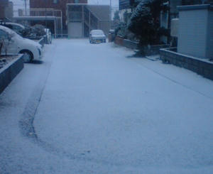 DSC00022.JPG
