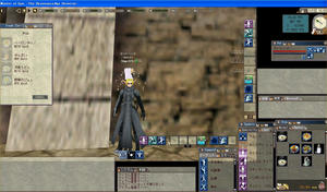 viewport1.jpg