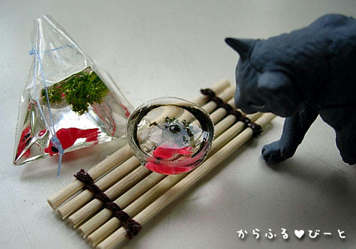 おや？金魚がいるぞ！