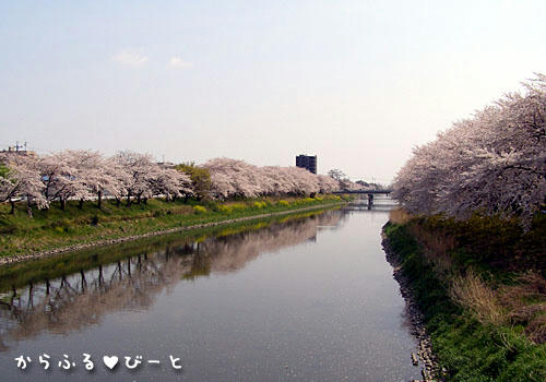 五条川