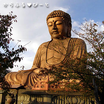 大仏様