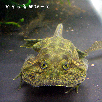 あぁ？