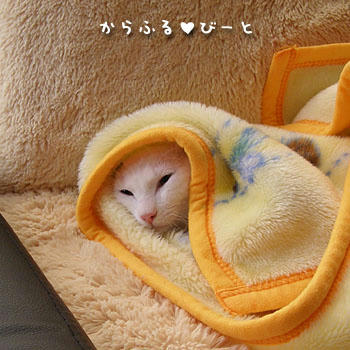バロン