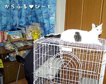 え？なーに？