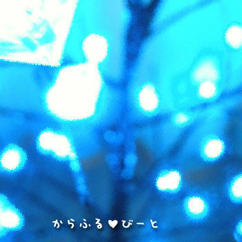 キラキラ☆