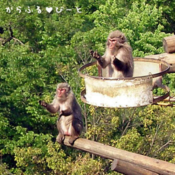 もっとちょうだ～い！