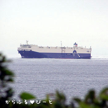内海