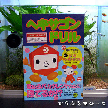 ヘキサゴンドリル