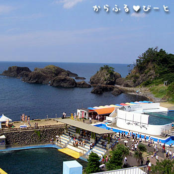 越前松島水族館
